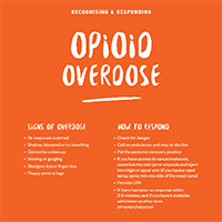 Fact Sheet Posters Opioids